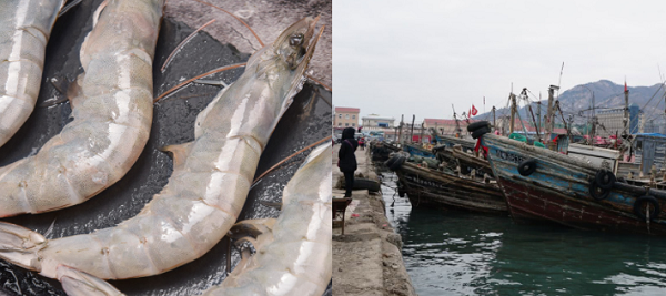 建造一個(gè)海鮮冷庫多少錢？